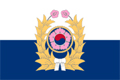 Republic of Korea Army (ROKA) Logo